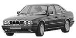 BMW E34 P1BD2 Fault Code